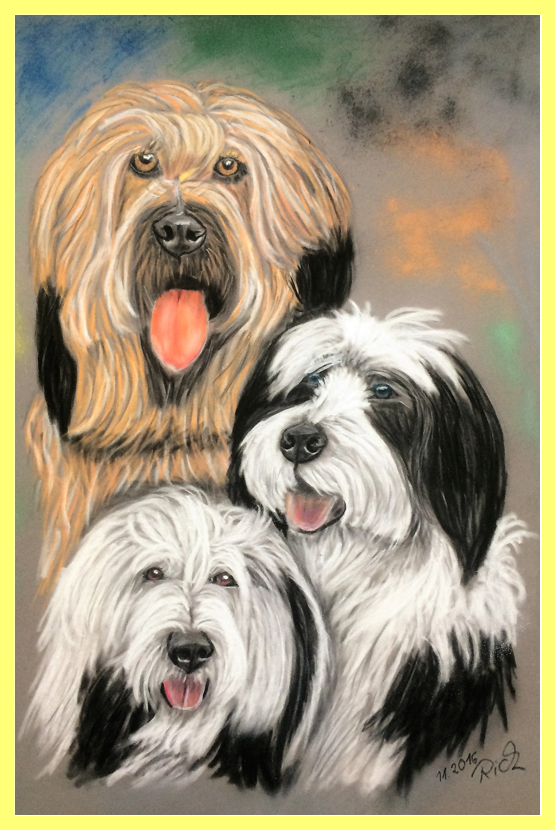 Drei Hundegenerationen - Hundeportrait von Petra Rick 2016 - Pastell